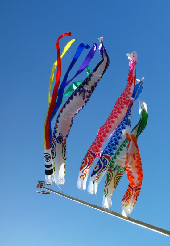 Koinobori2