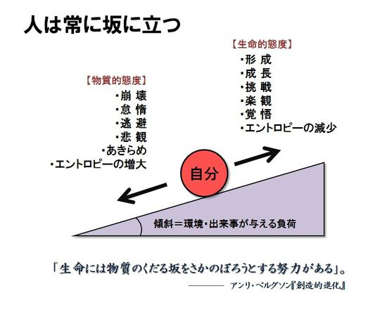Saka zu