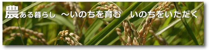 Nou_header_3